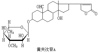 ��ʽ ����