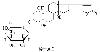 ��ʽ ����