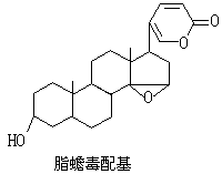 ��ʽ ����