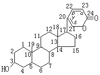 ��ʽ ����