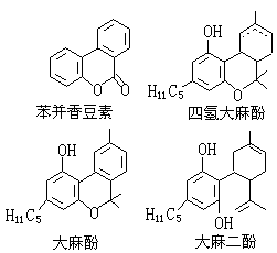 ��ʽ ����