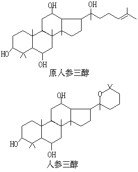 ��ʽ ����