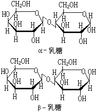 ��ʽ ����