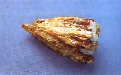 ͼ �ƻƾ���(����б��ϵ)