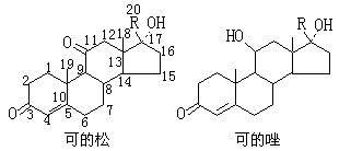 ��ʽ ����