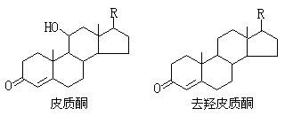 ��ʽ ����