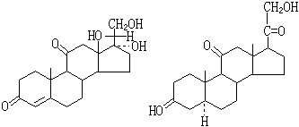 ��ʽ ����