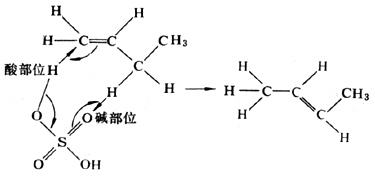 ��ʽ ����