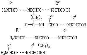 ��ʽ ����