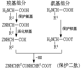 ��ʽ ����