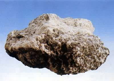 ͼ ̼����(��ʯ)����ˮ��Ӧ��������Ȳ