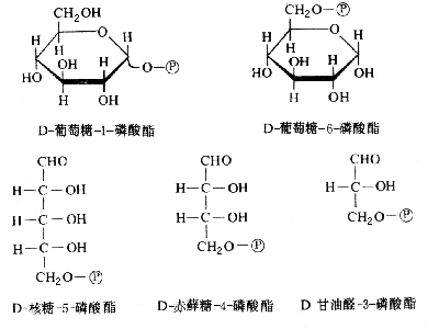 ��ʽ ����