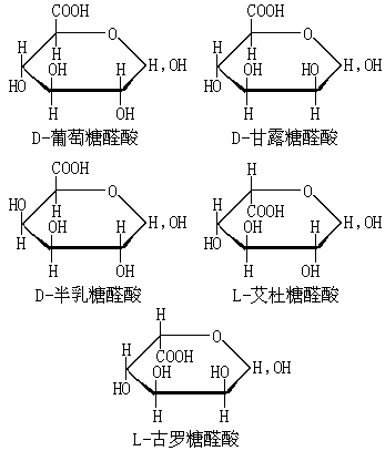 ��ʽ ����