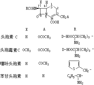 ��ʽ ����