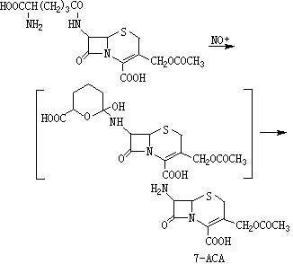 ��ʽ ����