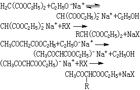 ��ʽ ����