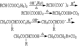 ��ʽ ����