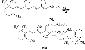 ��ʽ ����