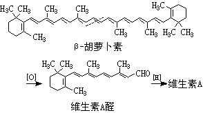 ��ʽ ����