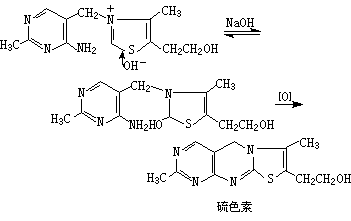 ��ʽ ����