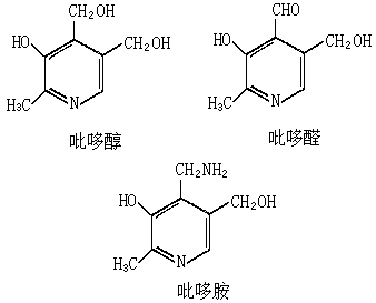 ��ʽ ����