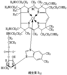 ��ʽ ����