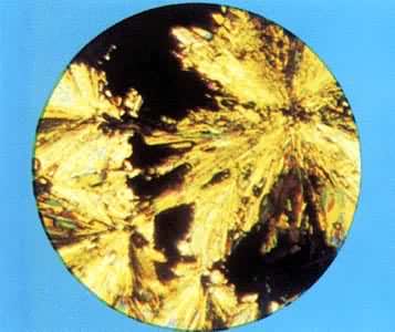 ͼ ά����C(�Ŵ�100��)