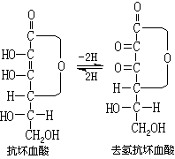 ��ʽ ����