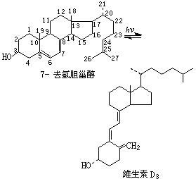 ��ʽ ����