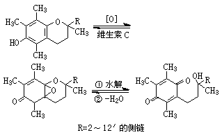 ��ʽ ����