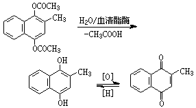 ��ʽ ����