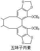 ��ʽ ����