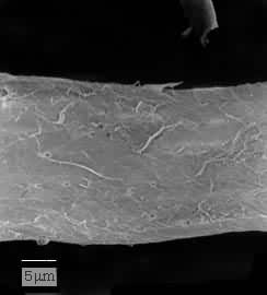 ͼ1 Ԥˮ������������ά