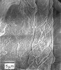 ͼ2 ����պ����������ά