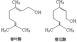 ��ʽ ����