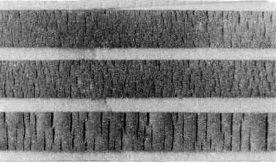 ͼ ��Ƥ�ĳ�������