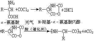 ��ʽ ����