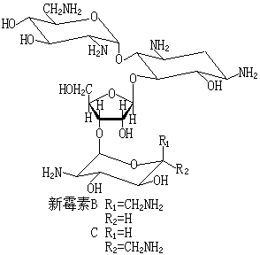 ��ʽ ����