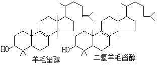 ��ʽ ����