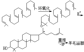 ��ʽ ����