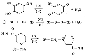 ��ʽ ����