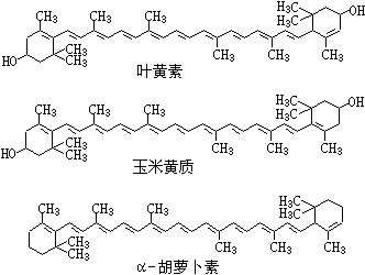 ��ʽ ����