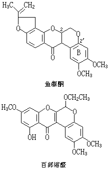 ��ʽ ����