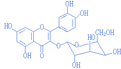 ��ʽ ����