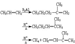 ��ʽ ����