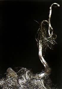 ͼ ��Ȼ��������Ȼ����ڵĽ�����