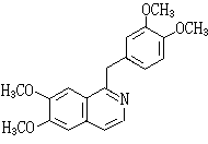 ��ʽ ����