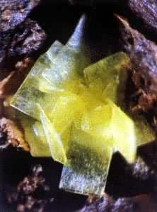 ͼ ������ĸ