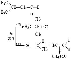 ��ʽ ����