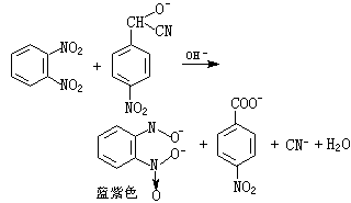 ��ʽ ����